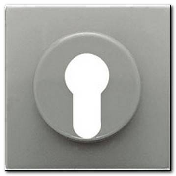 Płytka centralna mechanizmu zamka