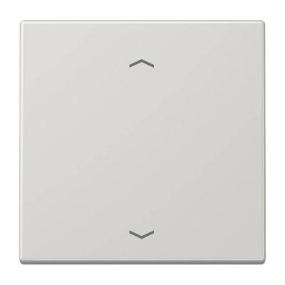 Klawisz pojedynczy z nadrukiem, szary