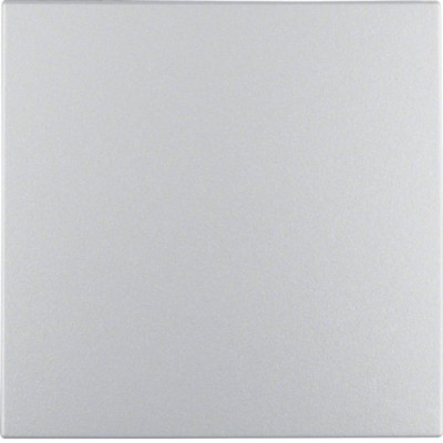 B.x Klawisz pojedynczy aluminium mat 16201404