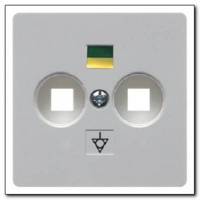 Płytka centralna do gniazda wyrównania potencjału ; śnieżnobiały; System płytek centralnych Numer katalogowy: 140309