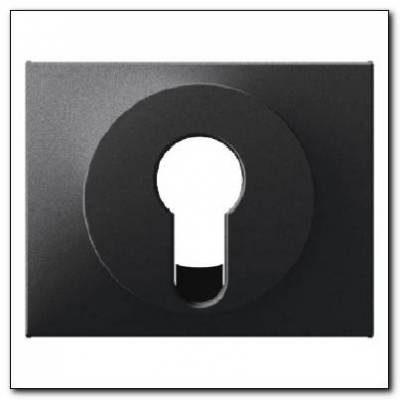 Element centralny do łącznika na klucz; antracyt mat, lakierowany; K.1 Numer katalogowy: 15057006