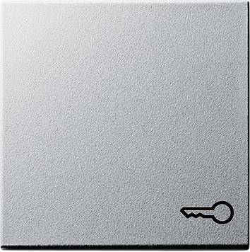 Klawisz symbol klucza System 55 kolor alu