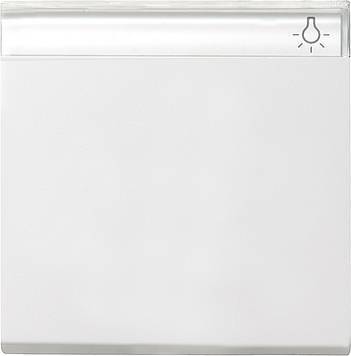 Klawisz z polem opisowym System 55 biały